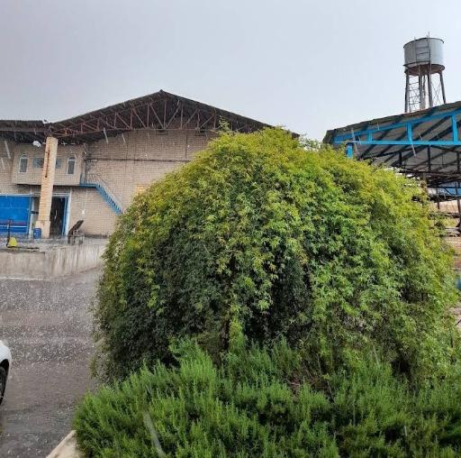 عکس شرکت سردخانه سمانه