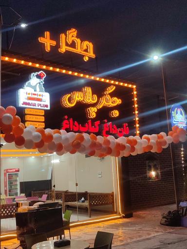 عکس جگر پلاس