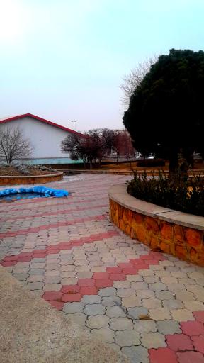 عکس مجموعه ورزشی المهدی