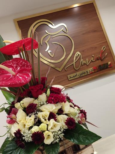 عکس مرکز طب مادر و جنین امید 