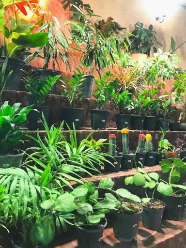 عکس کافه‌ کتاب آفتاب