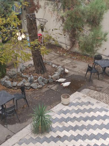 عکس کافه‌ کتاب آفتاب