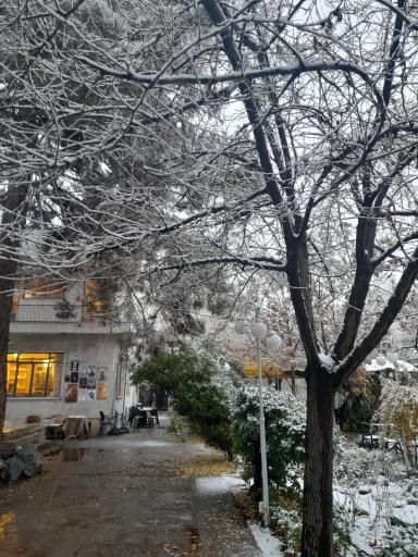 عکس کافه‌ کتاب آفتاب