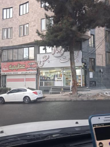 عکس لبنیات و بستنی بهار