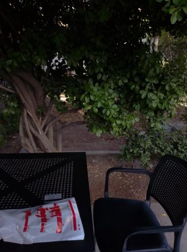 عکس کافه‌ کتاب آفتاب