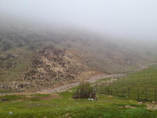 عکس راشک علیا