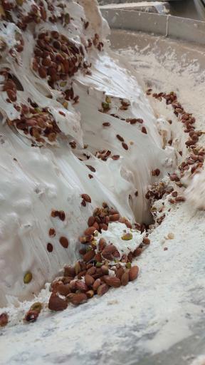 عکس گز شهرت