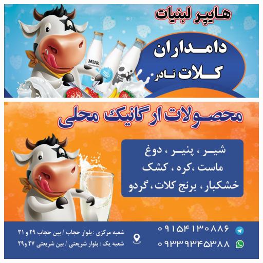 لبنیات دامداران کلات نادر