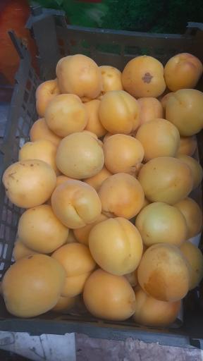 عکس هایپر میوه رضا