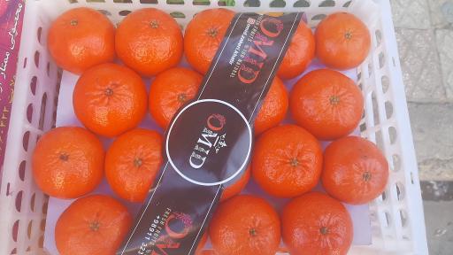 عکس هایپر میوه رضا