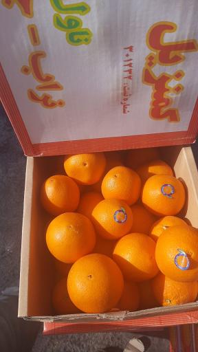 عکس هایپر میوه رضا