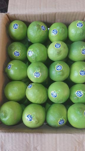 عکس هایپر میوه رضا