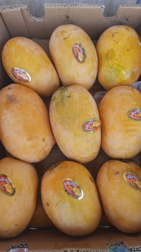 عکس هایپر میوه رضا