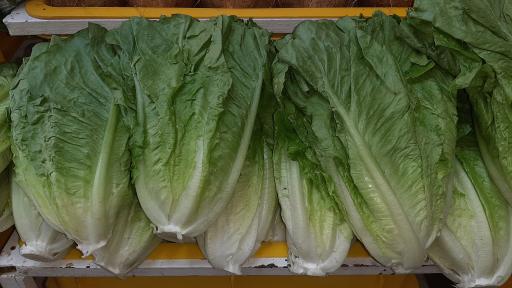 عکس هایپر میوه رضا