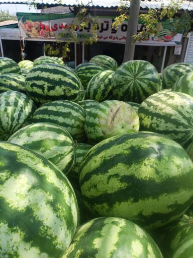 عکس میوه سرای رضا محمدی