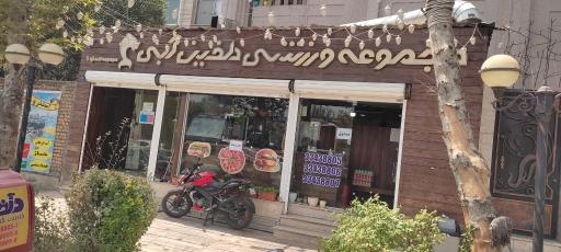 عکس استخر دلفین آبی تهران