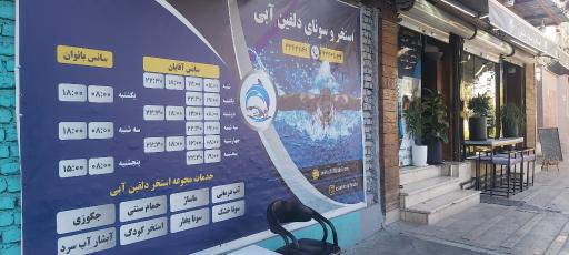 عکس مجموعه ورزشی دلفین آبی