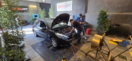 عکس خدمات خودرو داینو فیورس