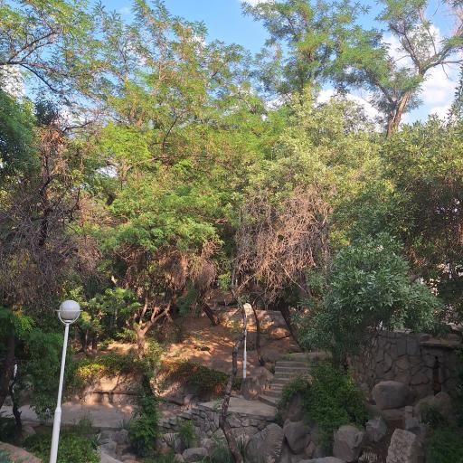 عکس پارک بانوان بوستان وکیل آباد (پارک شهربانو)