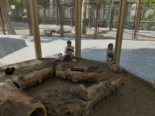 سایت پرنده نگری بوستان شهر