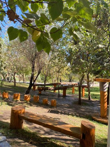 عکس پارک بانوان بوستان وکیل آباد (پارک شهربانو)