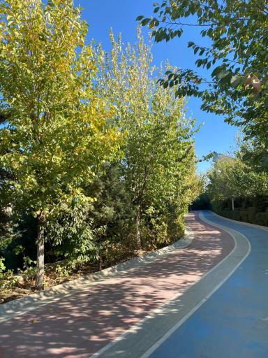 عکس پارک بانوان بوستان وکیل آباد (پارک شهربانو)