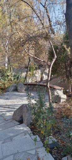 عکس پارک بانوان بوستان وکیل آباد (پارک شهربانو)