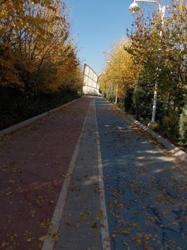 عکس پارک بانوان بوستان وکیل آباد (پارک شهربانو)