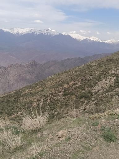 عکس آبیک