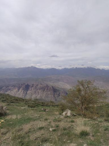 عکس آبیک