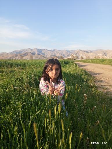 عکس آبیک