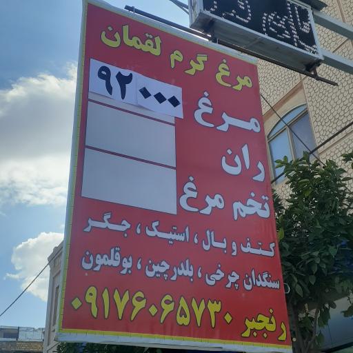 عکس مرغ گرم لقمان