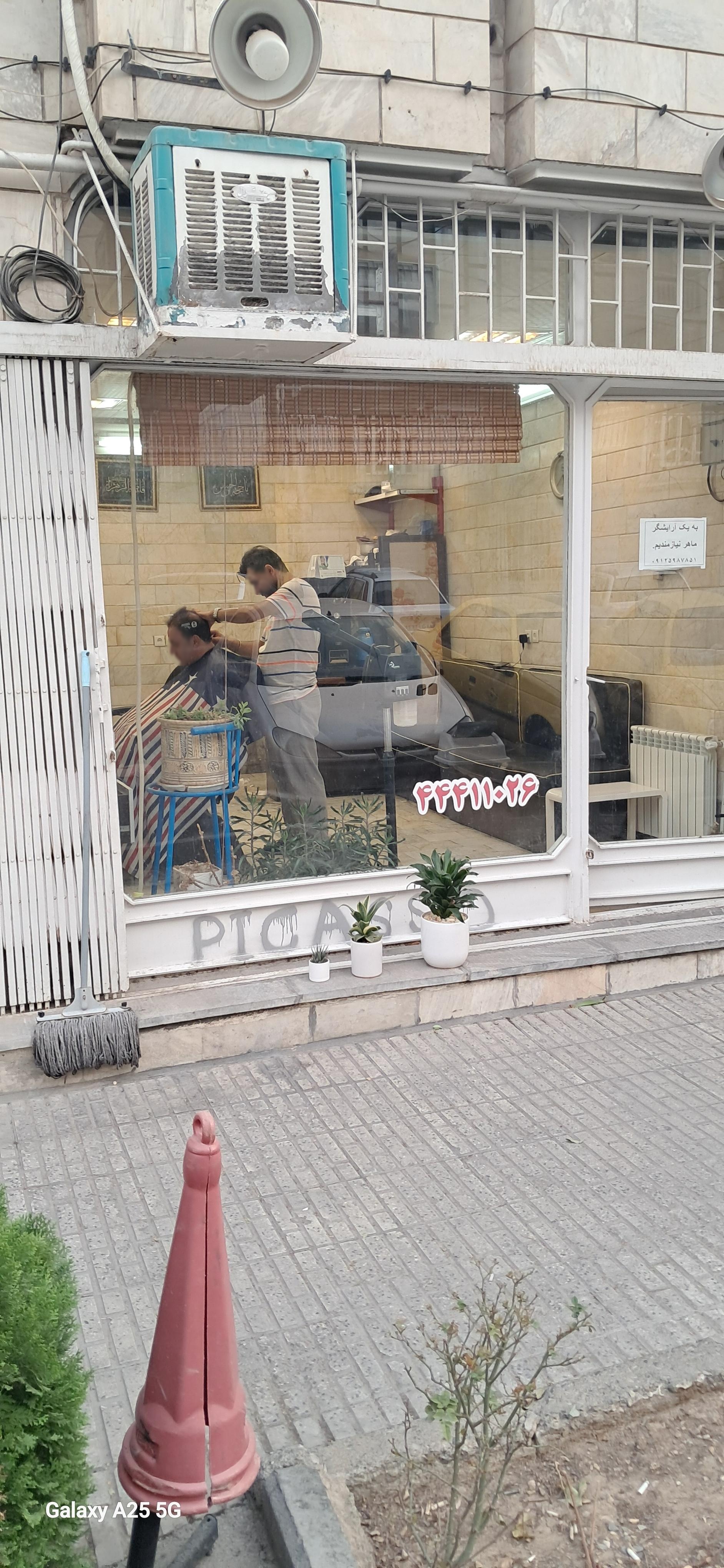 عکس پیرایش پیکاسو