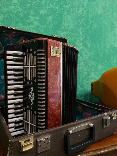 عکس کافه چینار