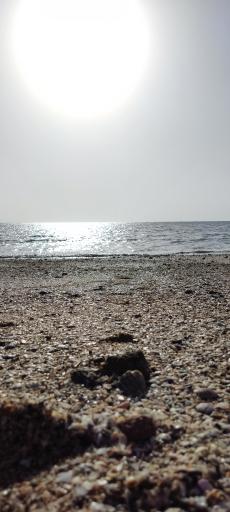 عکس ساحل زیبا