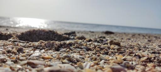 عکس ساحل زیبا