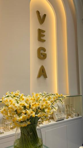 عکس گالری طلا وگا گلد