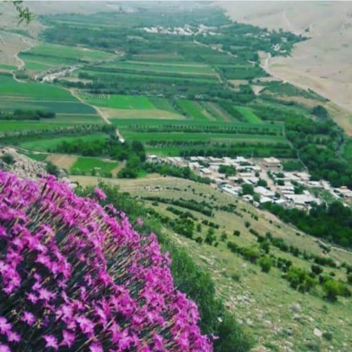 عکس دستجرد علیا