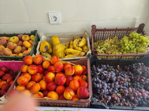 عکس میوه فروشی مجید