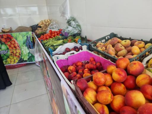 عکس میوه فروشی مجید