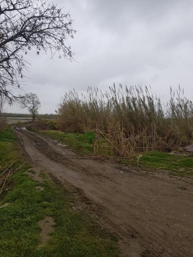 عکس تالاب فریدون کنار