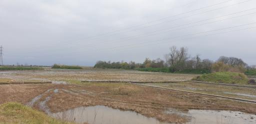 عکس تالاب فریدون کنار