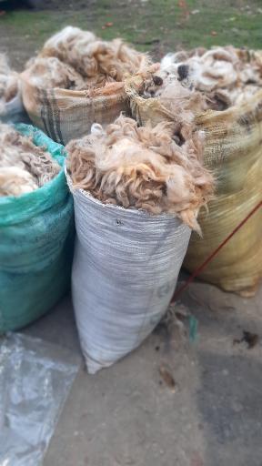 عکس پنج شنبه بازار  هشتپر