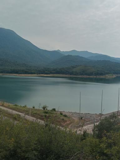 عکس جنگل کبودوال