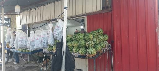 عکس میوه سرای ایلیا 