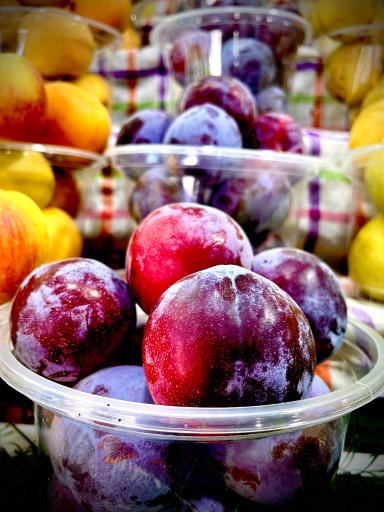 عکس میوه سرا سی دشت