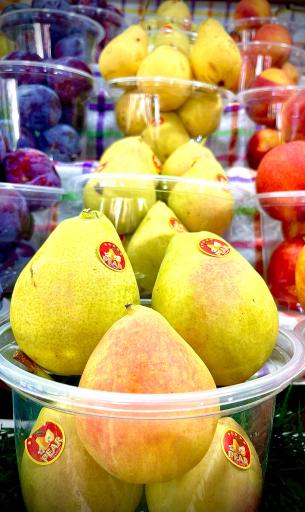 عکس میوه سرا سی دشت