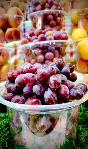 عکس میوه سرا سی دشت