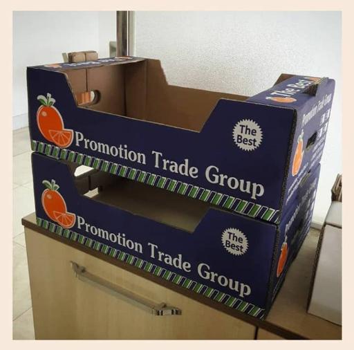 عکس کارتن سازان ساری