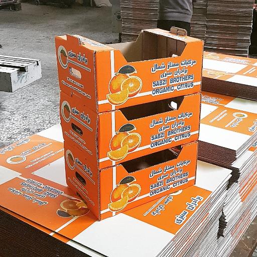 عکس کارتن سازان ساری